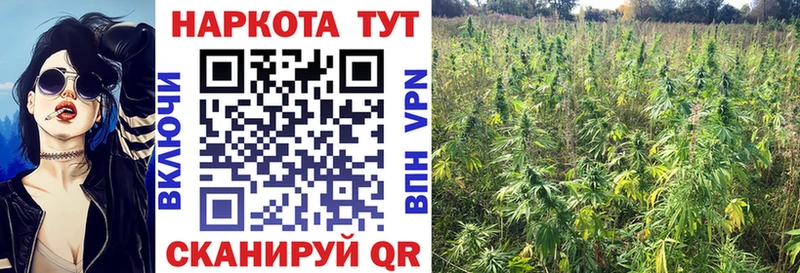 NBOMe Аша