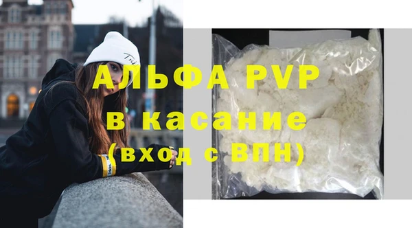 твердый Покачи