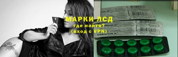 индика Армянск