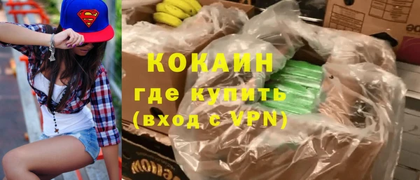 индика Армянск