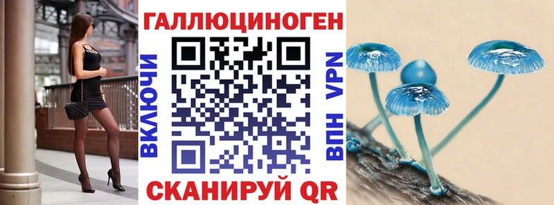 Псилоцибиновые грибы Cubensis  где купить наркоту  Аша 